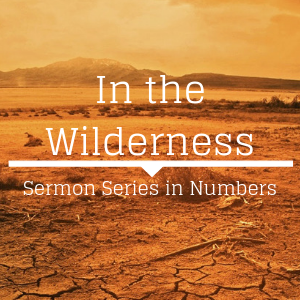 In the Wilderness: The Book of Numbers